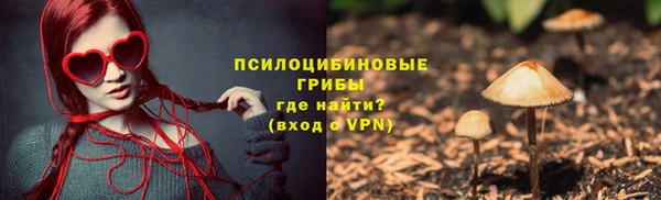 круглые Гусиноозёрск